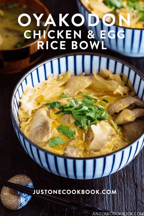 oyakodon just one cookbook.